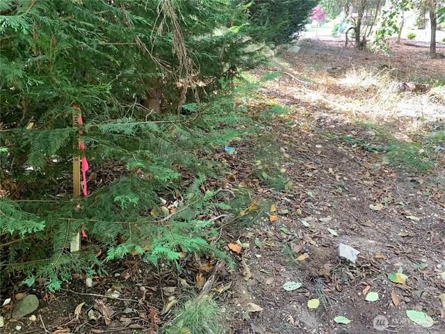 $215,000 | 1239 Nooksack Drive, Fox Island, WA 98333