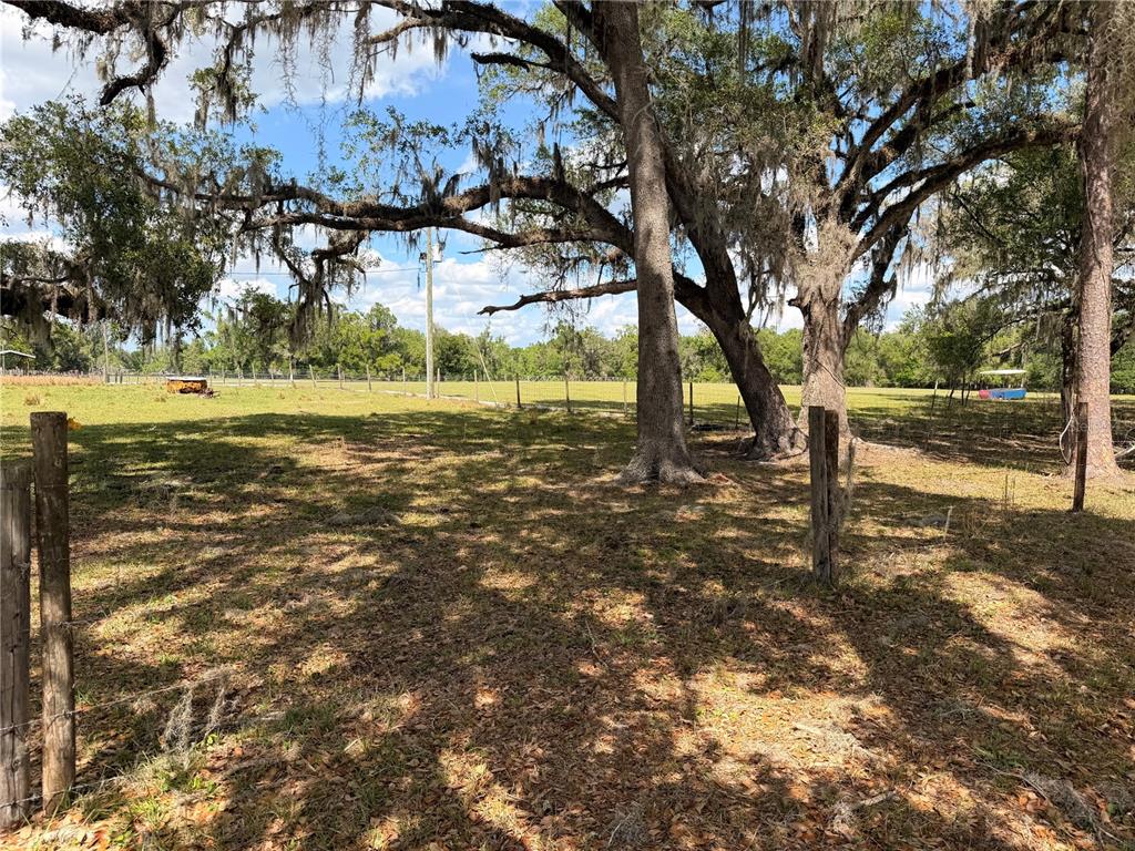 20512 Ramer Road Dade City, FL 33523 - Photo 6 of 9