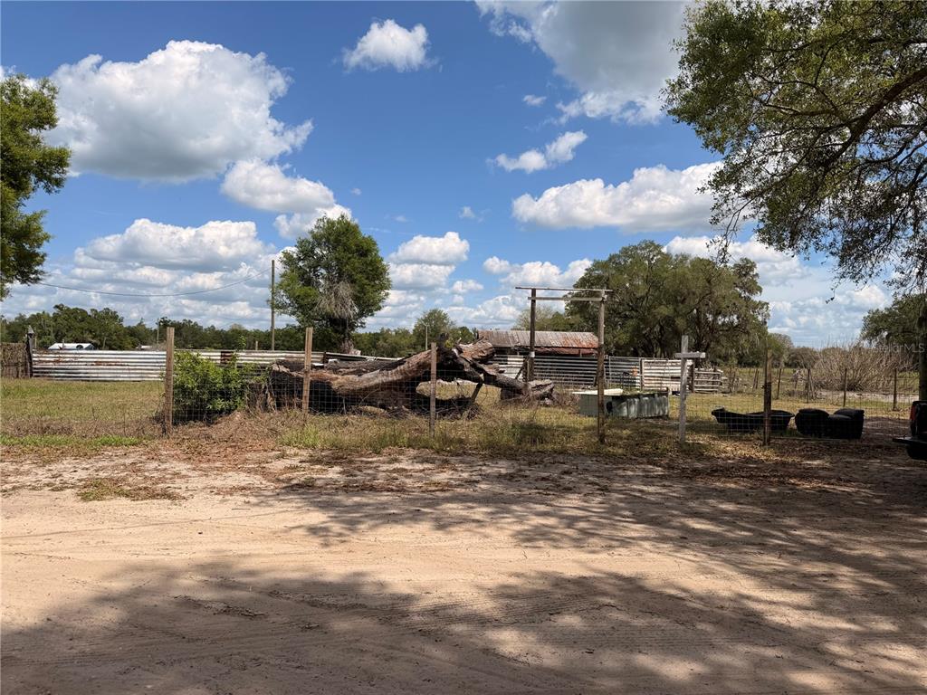 20512 Ramer Road Dade City, FL 33523 - Photo 7 of 9