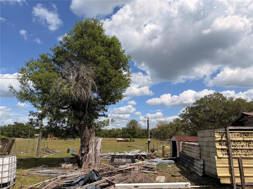 20512 Ramer Road Dade City, FL 33523 - Photo 8 of 9
