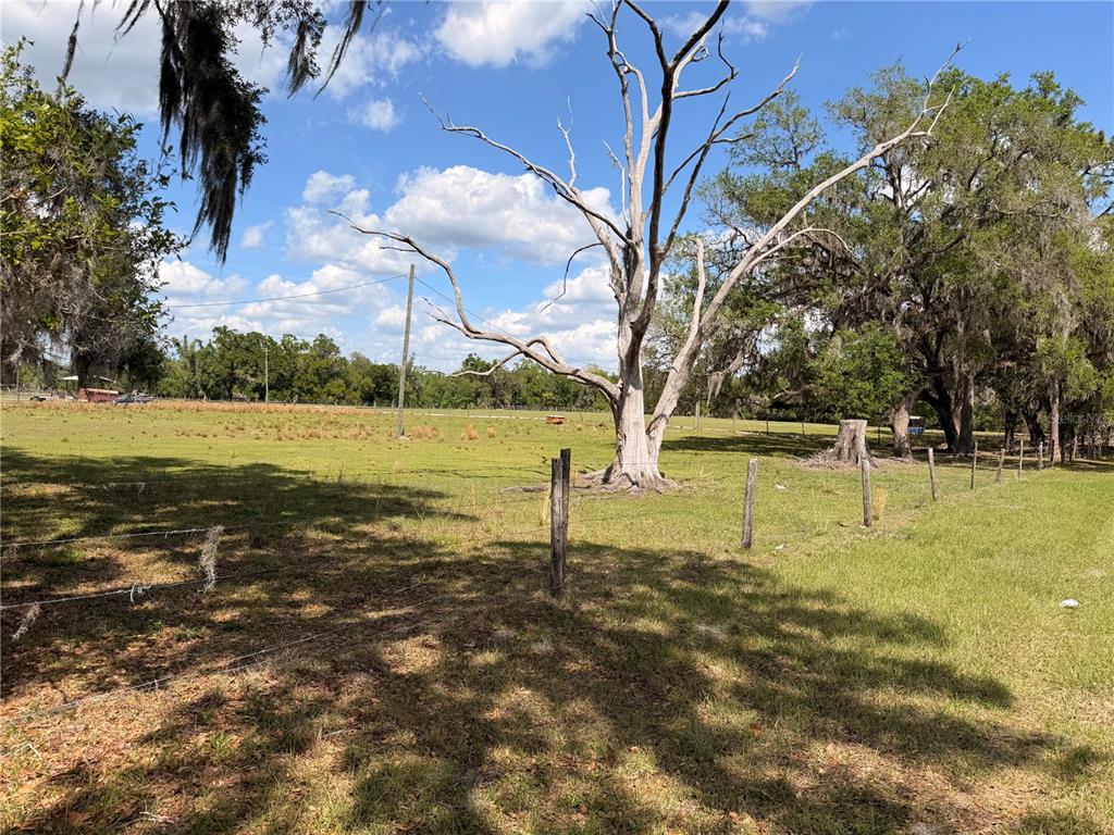 20512 Ramer Road Dade City, FL 33523 - Photo 9 of 9