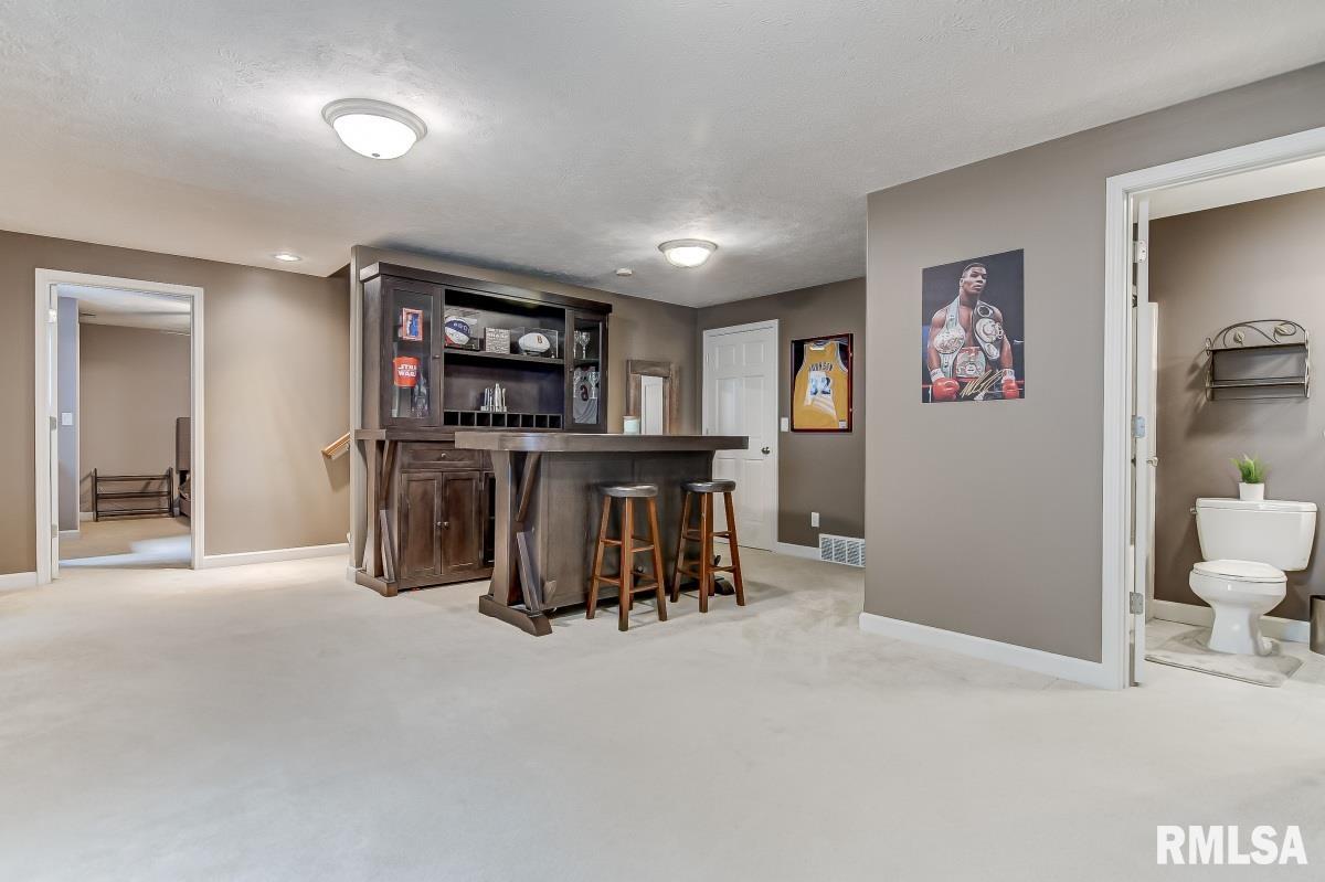 911 Deerfield Road Chatham, IL 62629 - Photo 35 of 45 Gallery Image 35