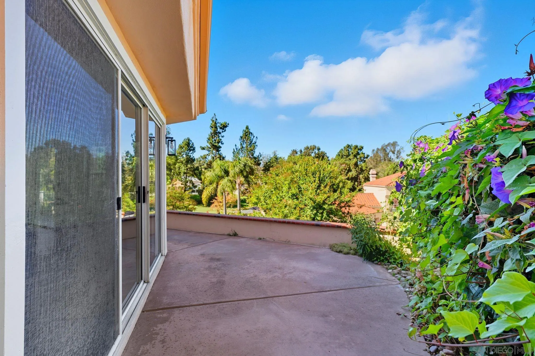 1274 Rue St Moritz San Marcos, CA 92078 - Photo 29 of 39 a view of a pathway both side of house