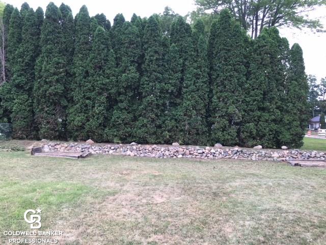 35360 Bordman Road Memphis, MI 48041 - Photo 44 of 60 Privacy