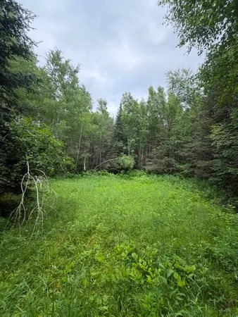 $160,000 | S 20-acres South 20-acres 5th Avenue, Spooner, WI 54801