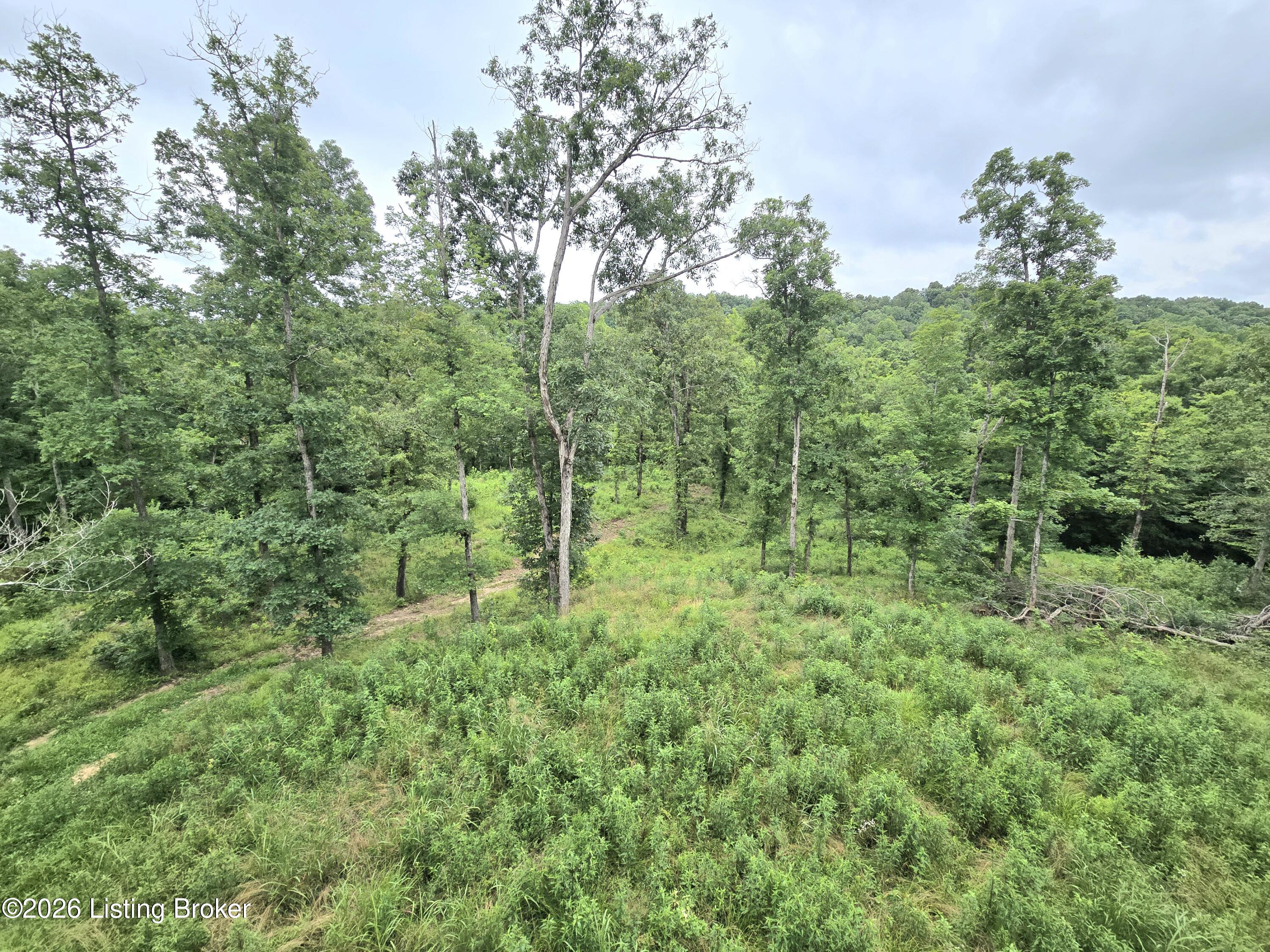 1045 Hunting Ground Road Leitchfield, KY 42754 - Photo 38 of 38 20260622_152943
