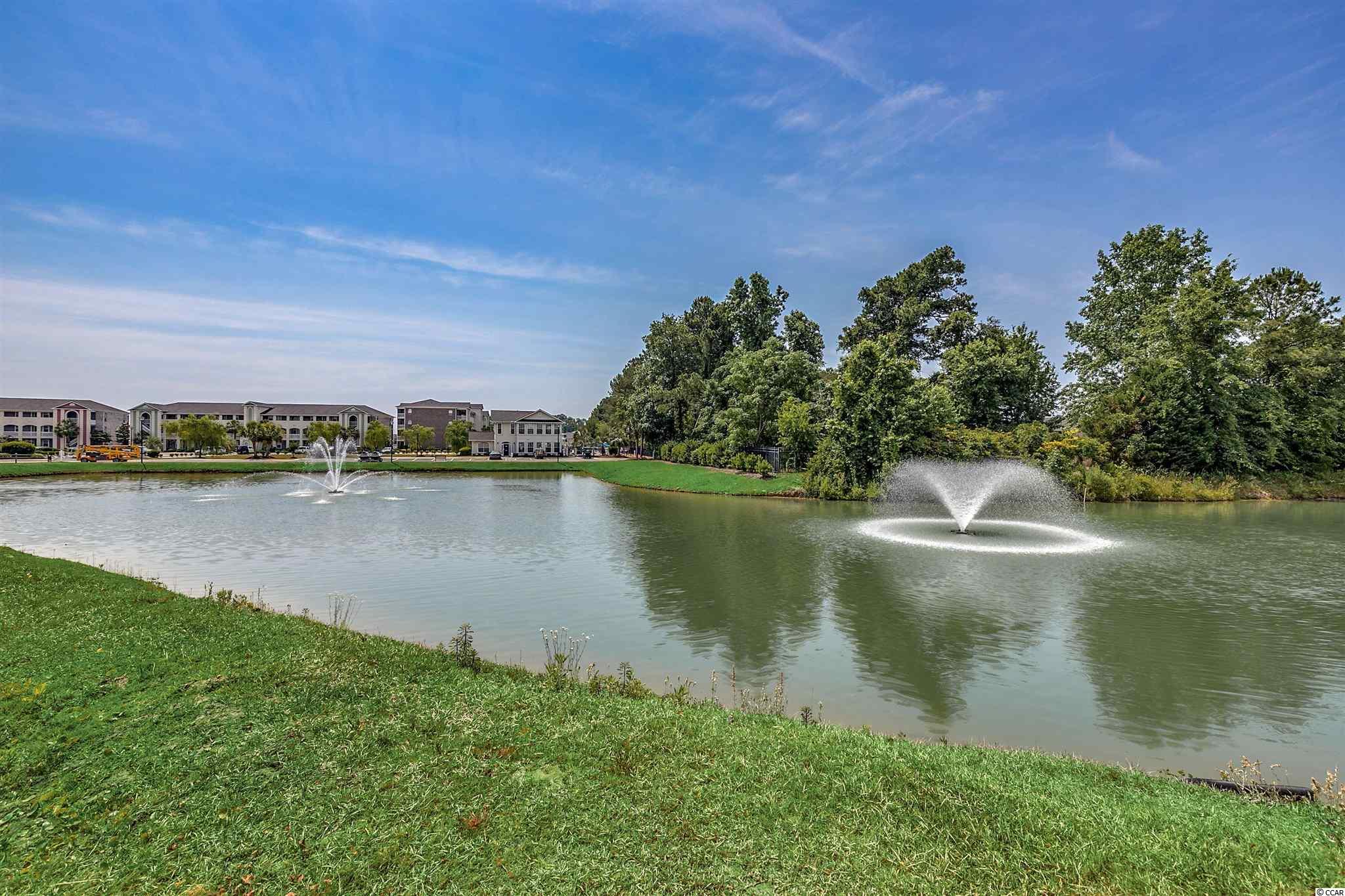 121 Waypoint Ridge Avenue, Unit P32 Little River, SC 29566 - Photo 27 of 33 Gallery Image 27