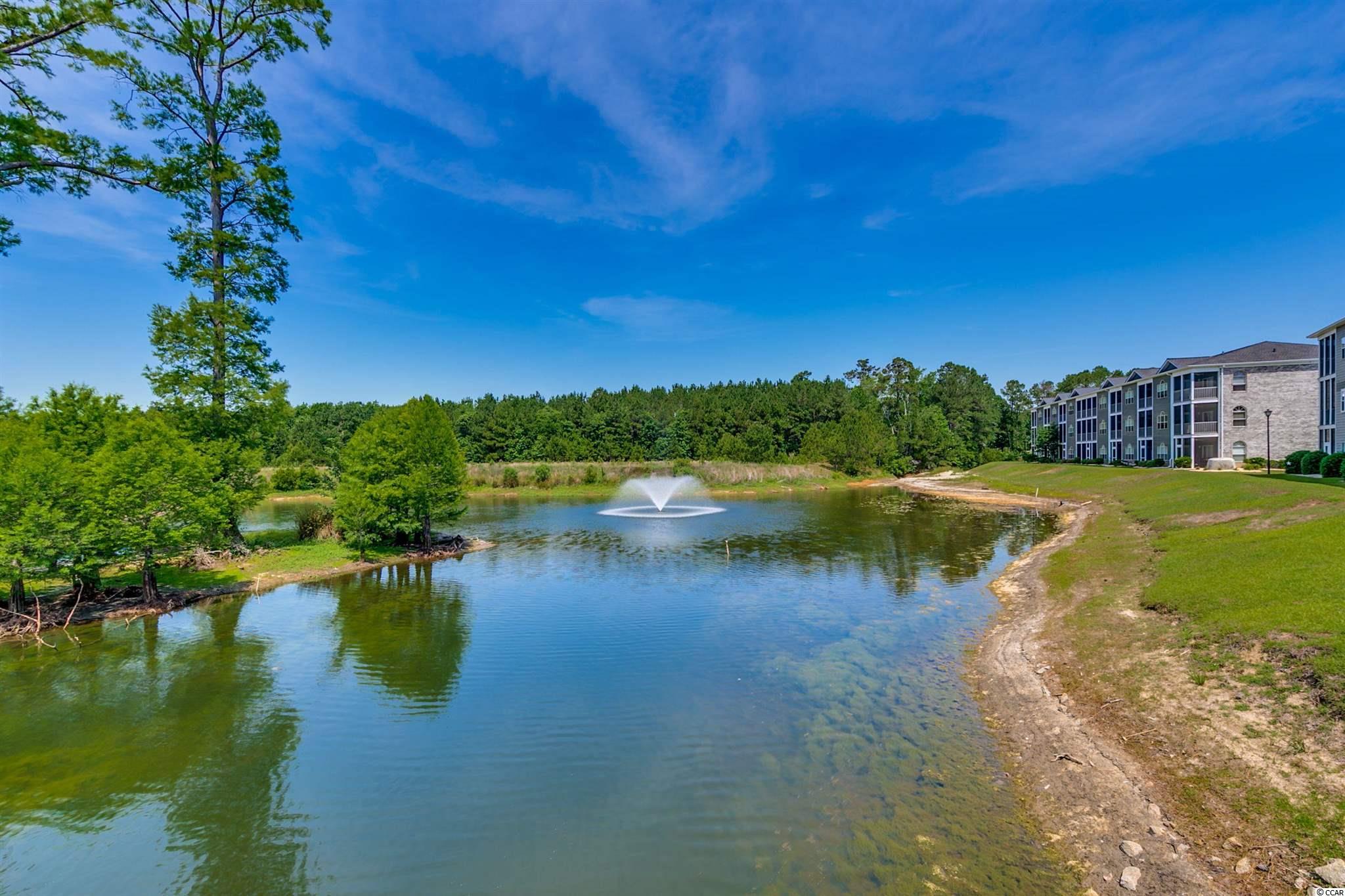 121 Waypoint Ridge Avenue, Unit P32 Little River, SC 29566 - Photo 29 of 33 Gallery Image 29