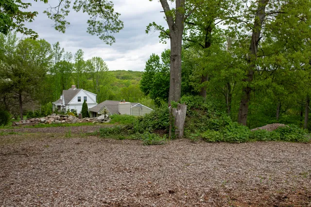 a view of a park with large trees