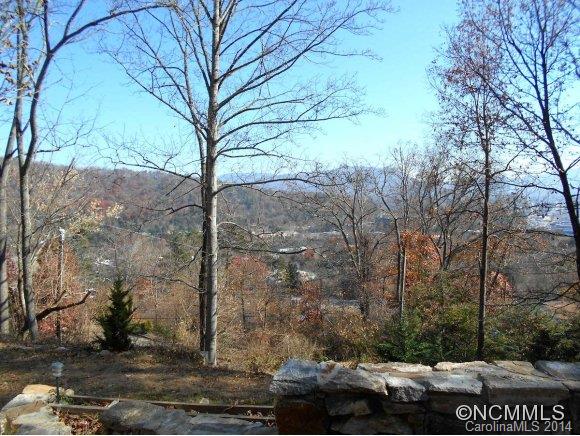 17 Delano Road Asheville, NC 28805 - Photo 3 of 24 Gallery Image 3