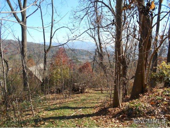 17 Delano Road Asheville, NC 28805 - Photo 4 of 24 Gallery Image 4
