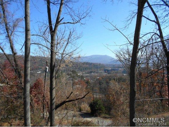 17 Delano Road Asheville, NC 28805 - Photo 5 of 24 Gallery Image 5