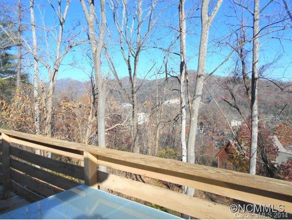 17 Delano Road Asheville, NC 28805 - Photo 7 of 24 Gallery Image 7