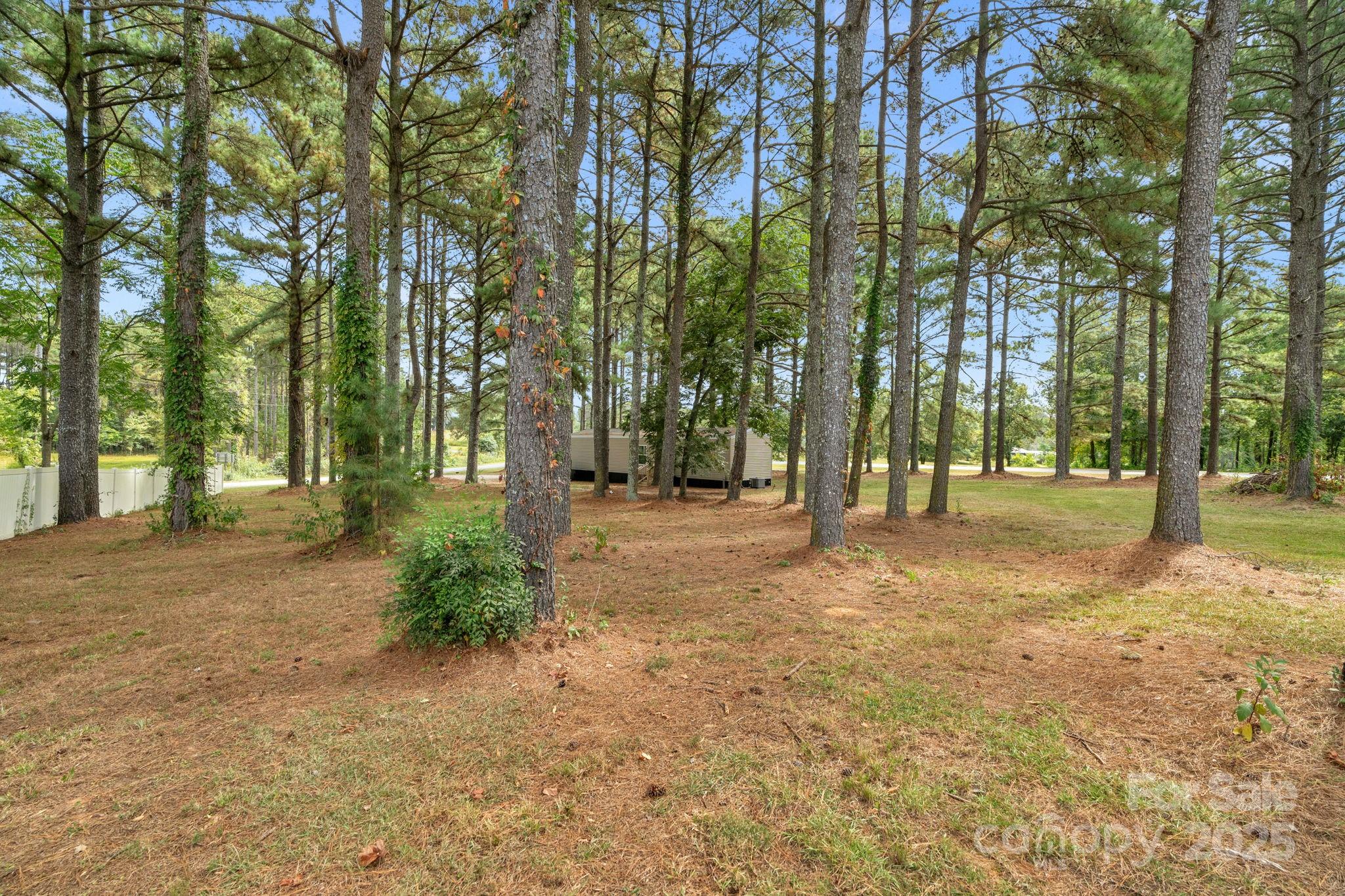 3407 White Store Road Pageland, SC 29728 - Photo 31 of 36 Gallery Image 31