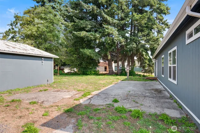 a view of a yard with plants and trees