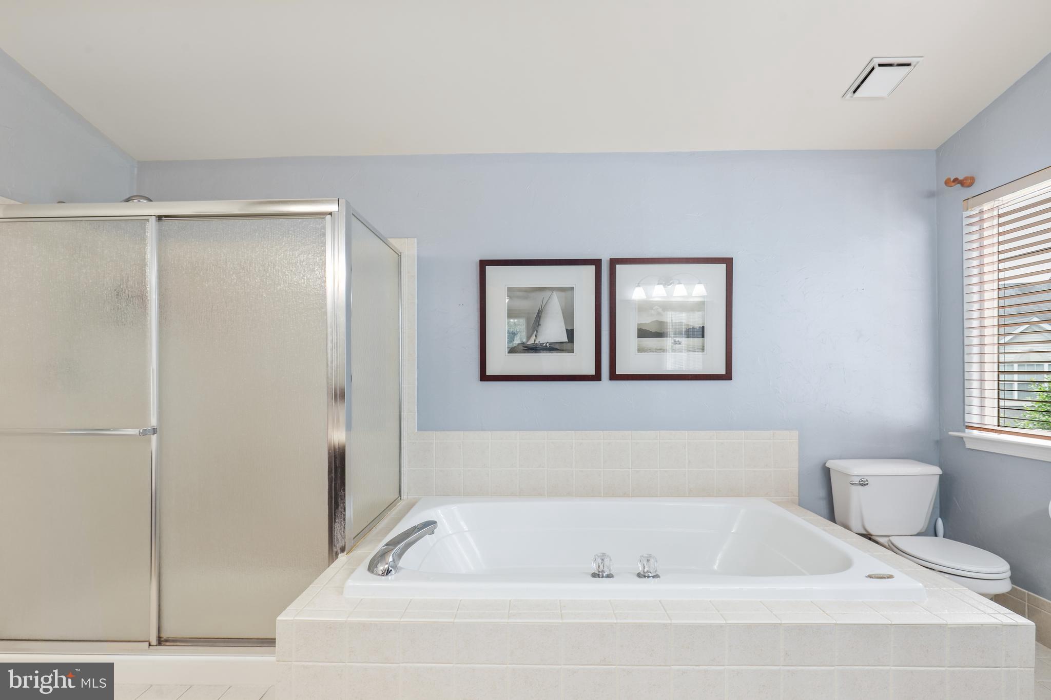 20346 Flushing Meadows Court Ashburn, VA 20147 - Photo 23 of 43