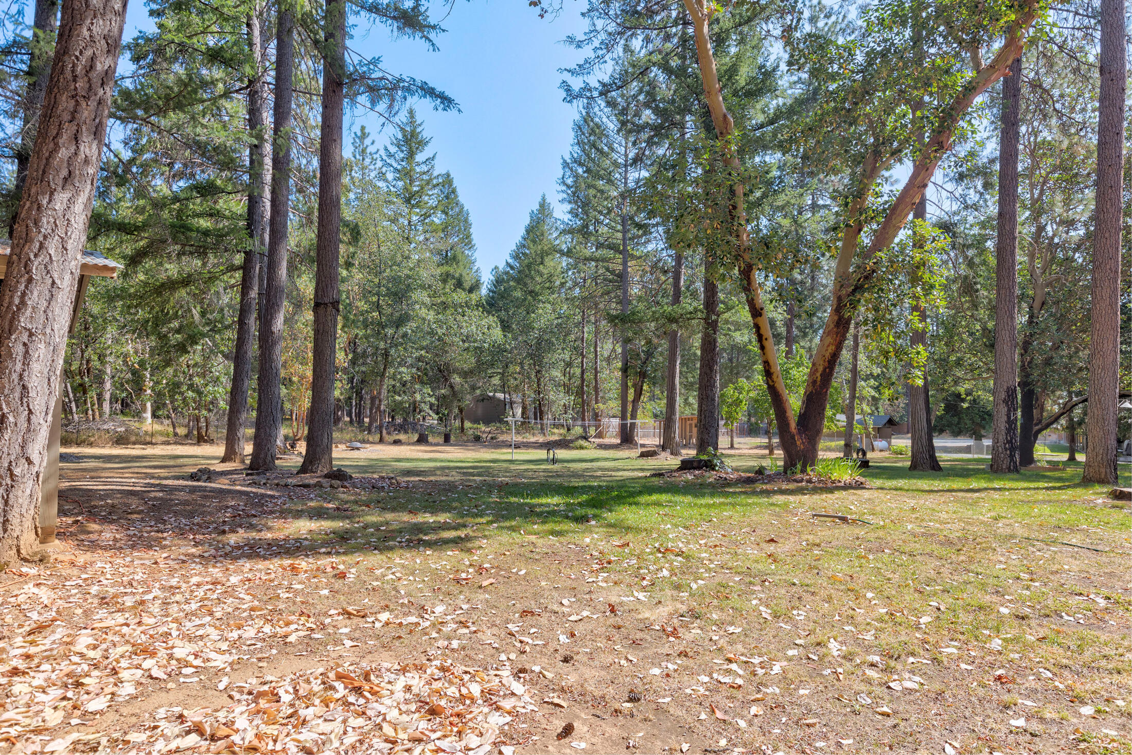1740 Queens Branch Road Rogue River, OR 97537 - Photo 35 of 42 qb039