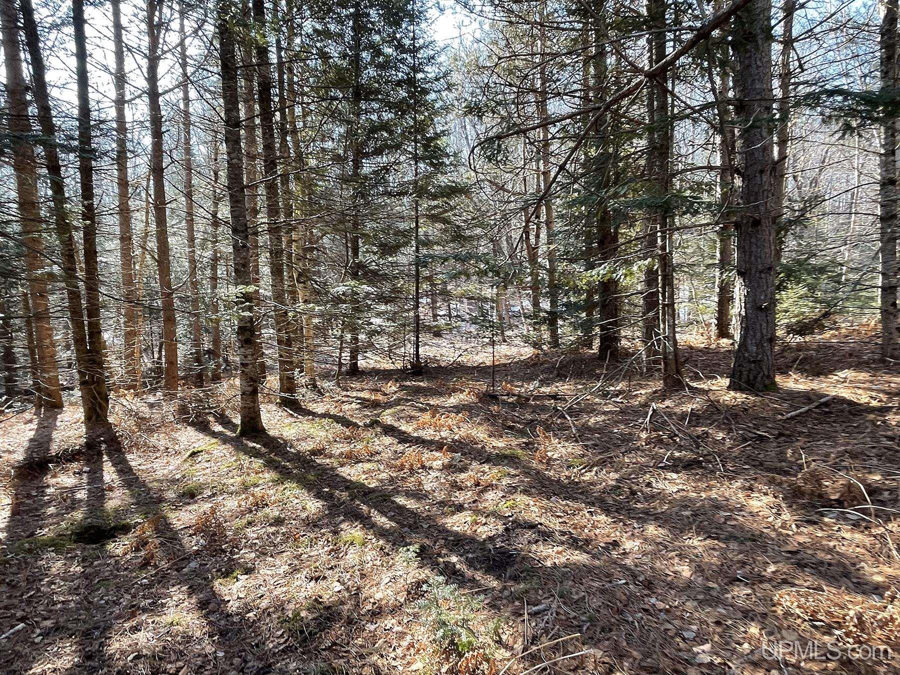 2330 S Little Harbor Road Manistique, MI 49854 - Photo 20 of 55