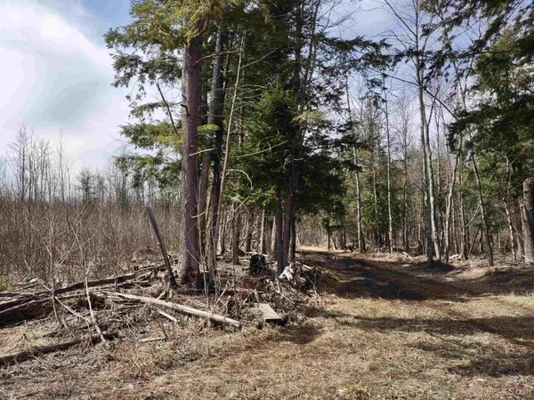 $64,800 | Tbd Tbd Off Ohman Road, Unit LAT 46 8737 LON 88 1528, Lanse, MI 49946