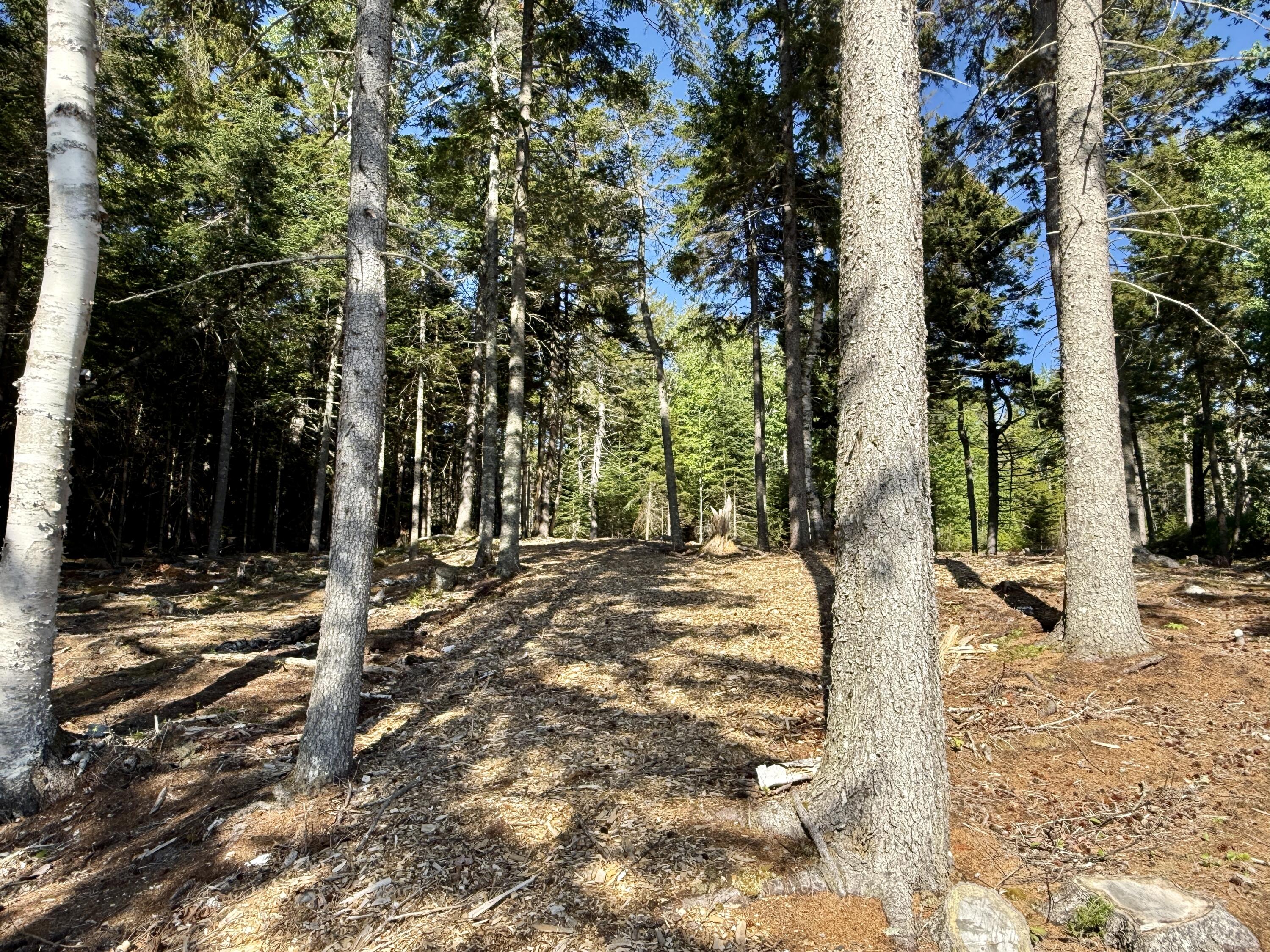 93 Goods Point Road, Unit LOT #2 Steuben, ME 04680 - Photo 11 of 15 IMG_3620