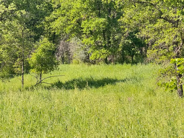 $129,000 | 0 Hwy 16 Guinda Ca, Brooks, CA 95606