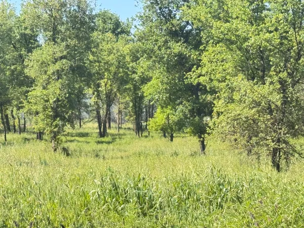 a view of backyard with green space
