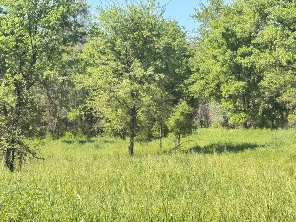 a view of a garden from a lake