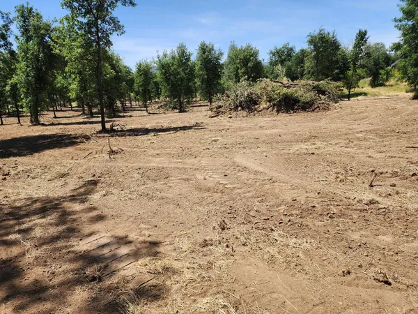 a view of outdoor space with trees