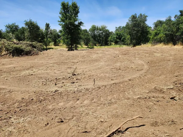 a view of empty space with trees