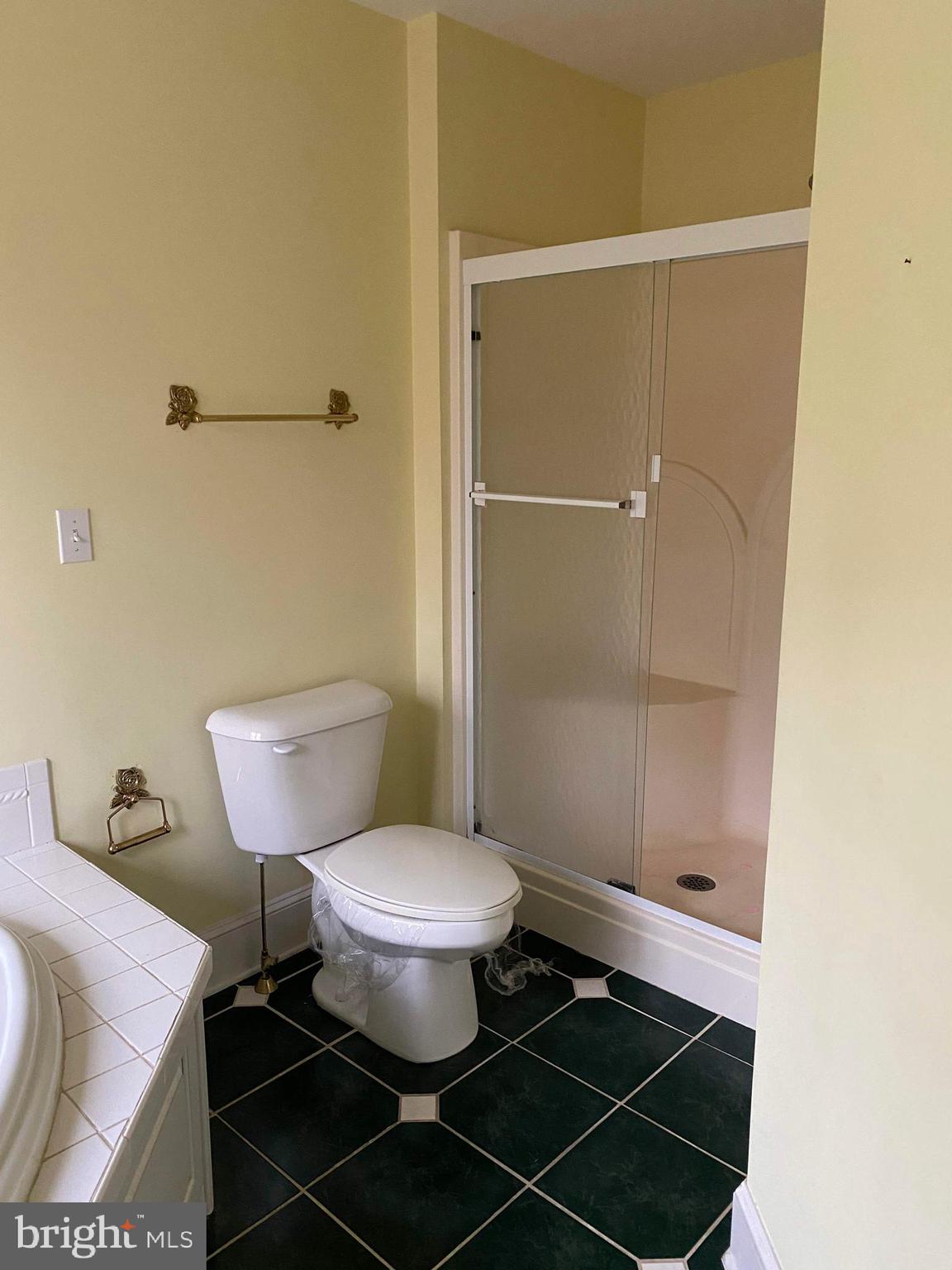 3609 Cimmeron Road York, PA 17402 - Photo 26 of 34 Master bathroom