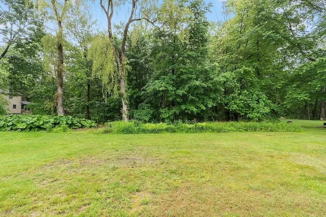 a view of a backyard with a garden