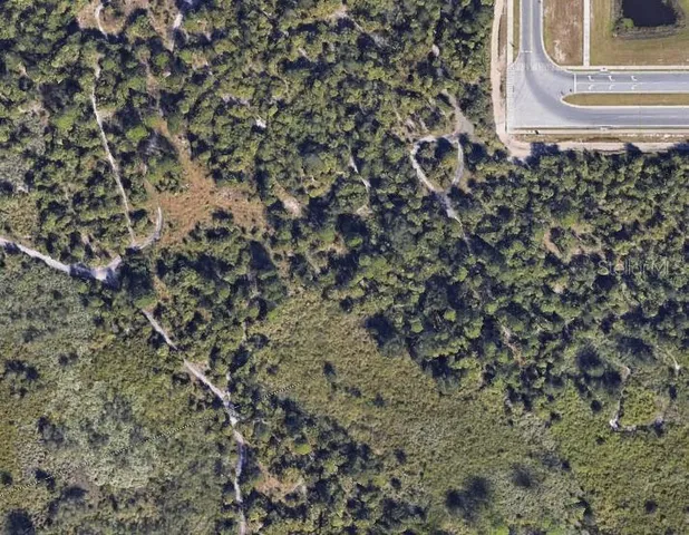 a view of a house with a plant