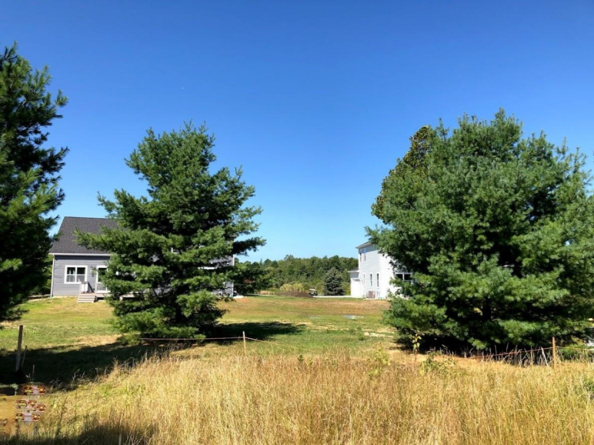 19509 Kluver Road New Buffalo, MI 49117 - Photo 21 of 40 Backyard