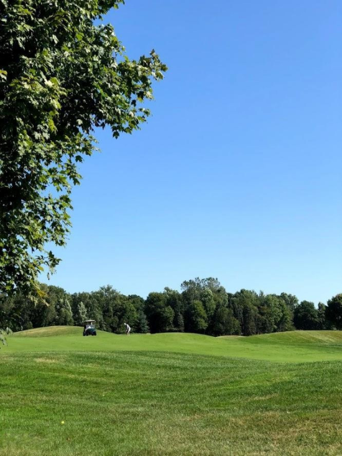 19509 Kluver Road New Buffalo, MI 49117 - Photo 23 of 40 10th Fairway