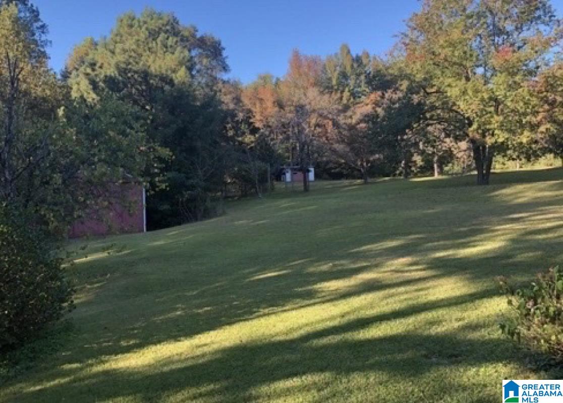 5025 Hollis Goodwin Road Dora, AL 35062 - Photo 2 of 6