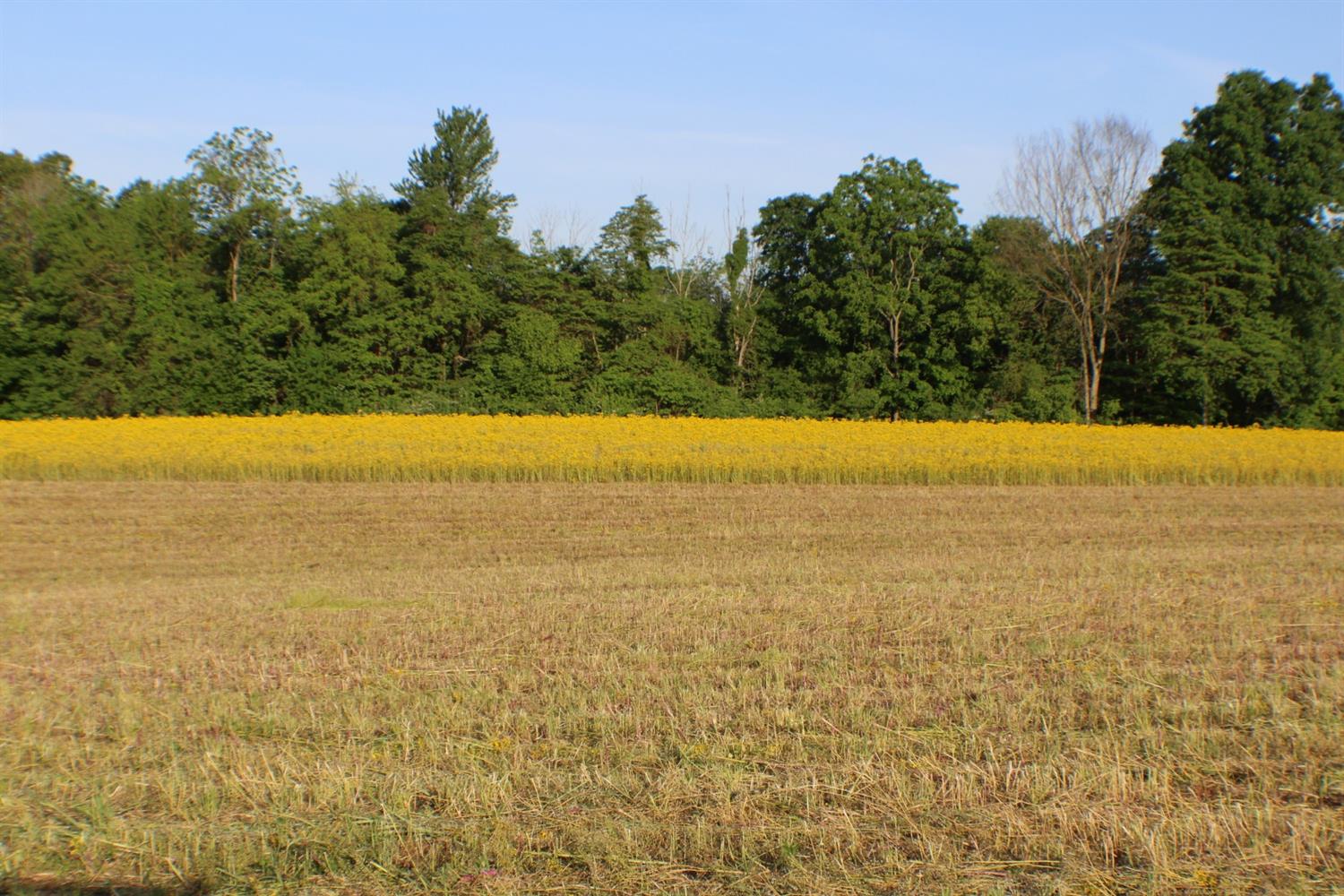 0 Markland Road Rising Sun, IN 47040 - Photo 1 of 2