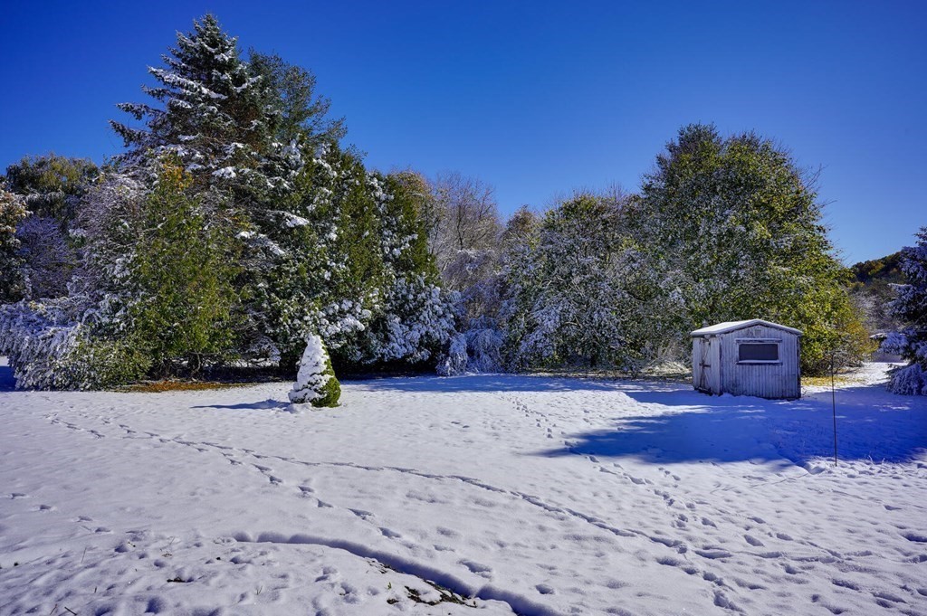 3 Rickey Drive Maynard, MA 01754 - Photo 22 of 25 a view of a dry yard with trees in the background