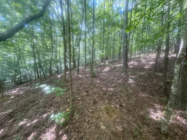 a view of outdoor space and green space