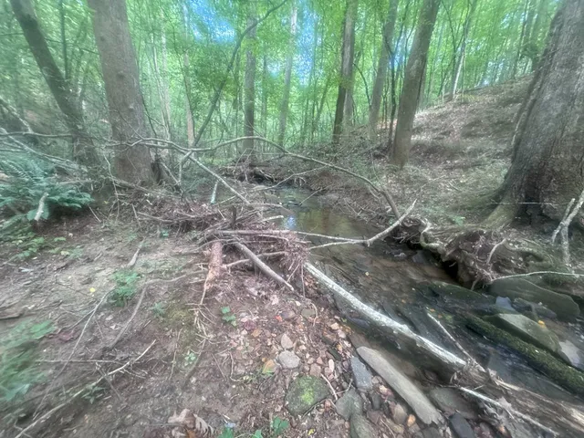 a backyard of a house with lots of green space