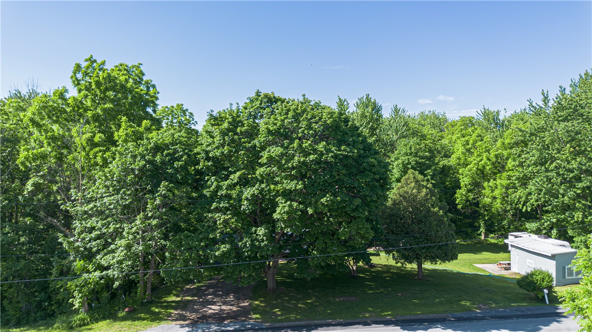 5524 Martin Road Marion, NY 14505 - Photo 25 of 27