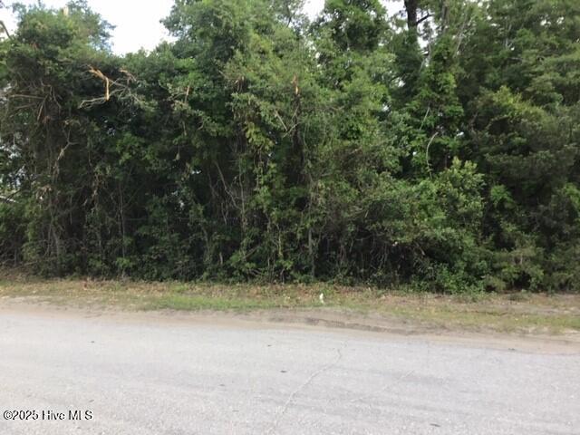 139 Bryan Road Wilmington, NC 28412 - Photo 2 of 4 139 Bryan Rd 2