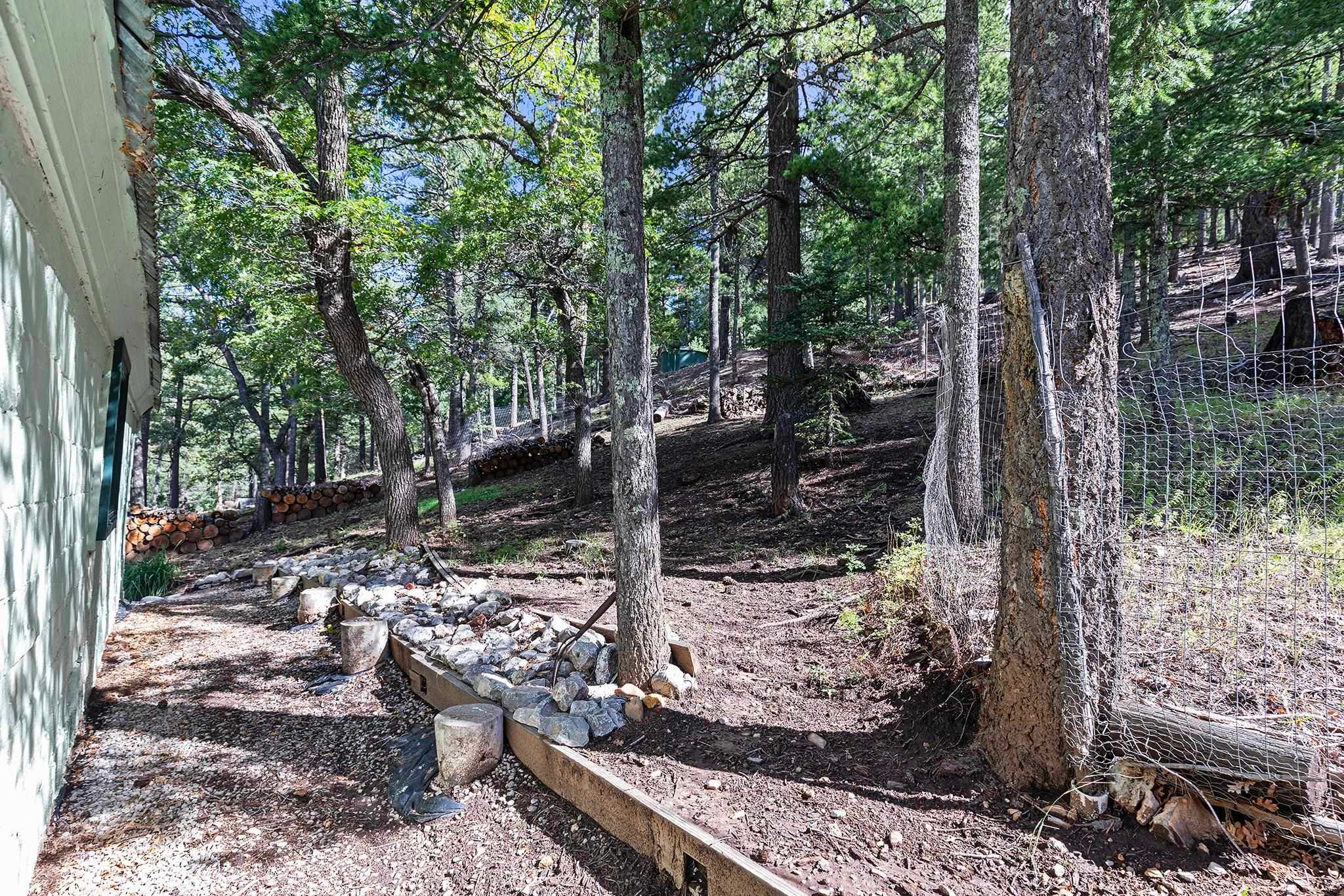 27 North Oak Ridge Road Cloudcroft, NM 88317 - Photo 40 of 48 Gallery Image 40