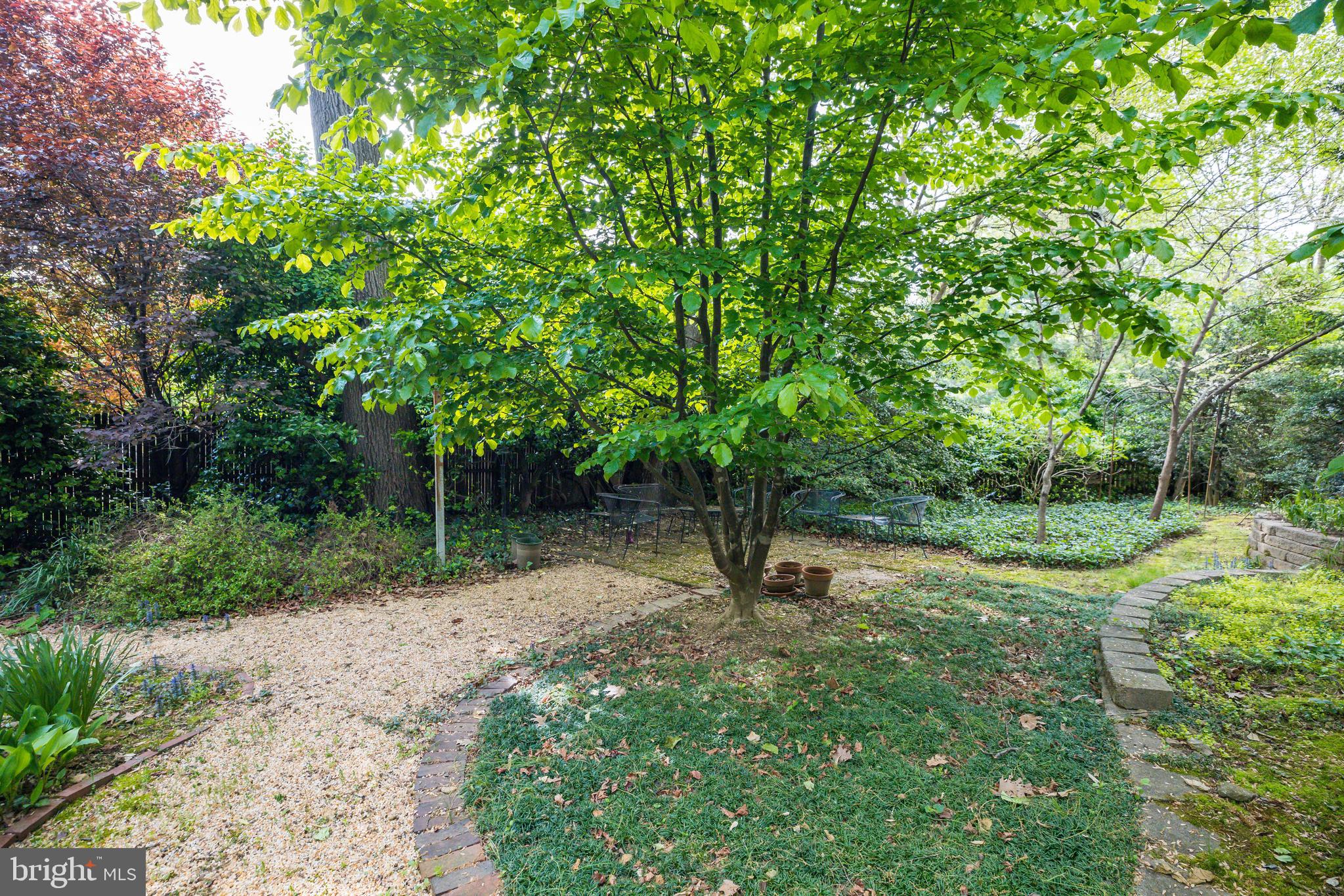 308 Franklin Place Silver Spring, MD 20901 - Photo 23 of 25 Gardner's dream!