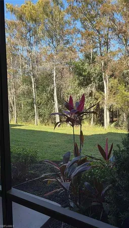a view of a garden