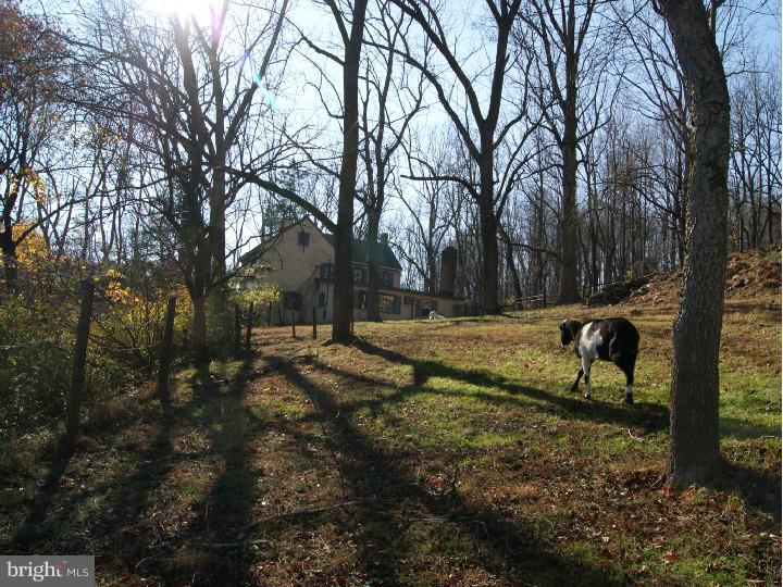 104 North Creek Road Landenberg, PA 19350 - Photo 25 of 25 Gallery Image 25