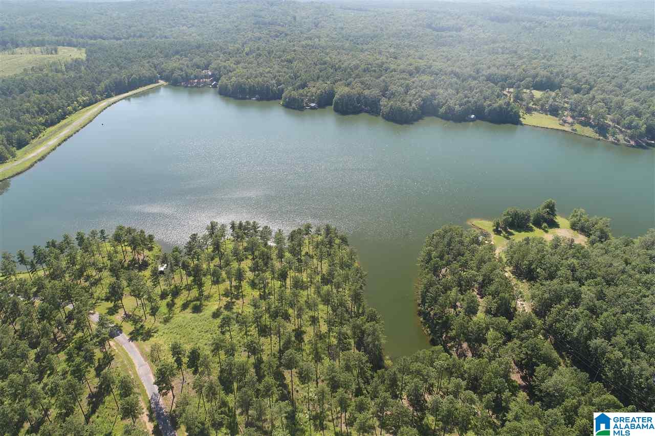 827 Colleton Forest Way, Unit 20 ACRES Vincent, AL 35178 - Photo 29 of 31