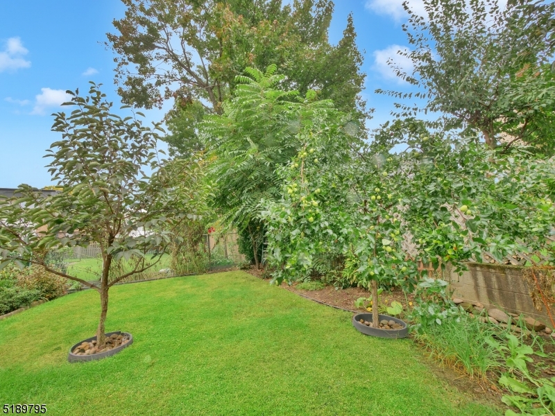 69 Rector Street Millburn, NJ 07041 - Photo 28 of 29 a view of a tree in a yard