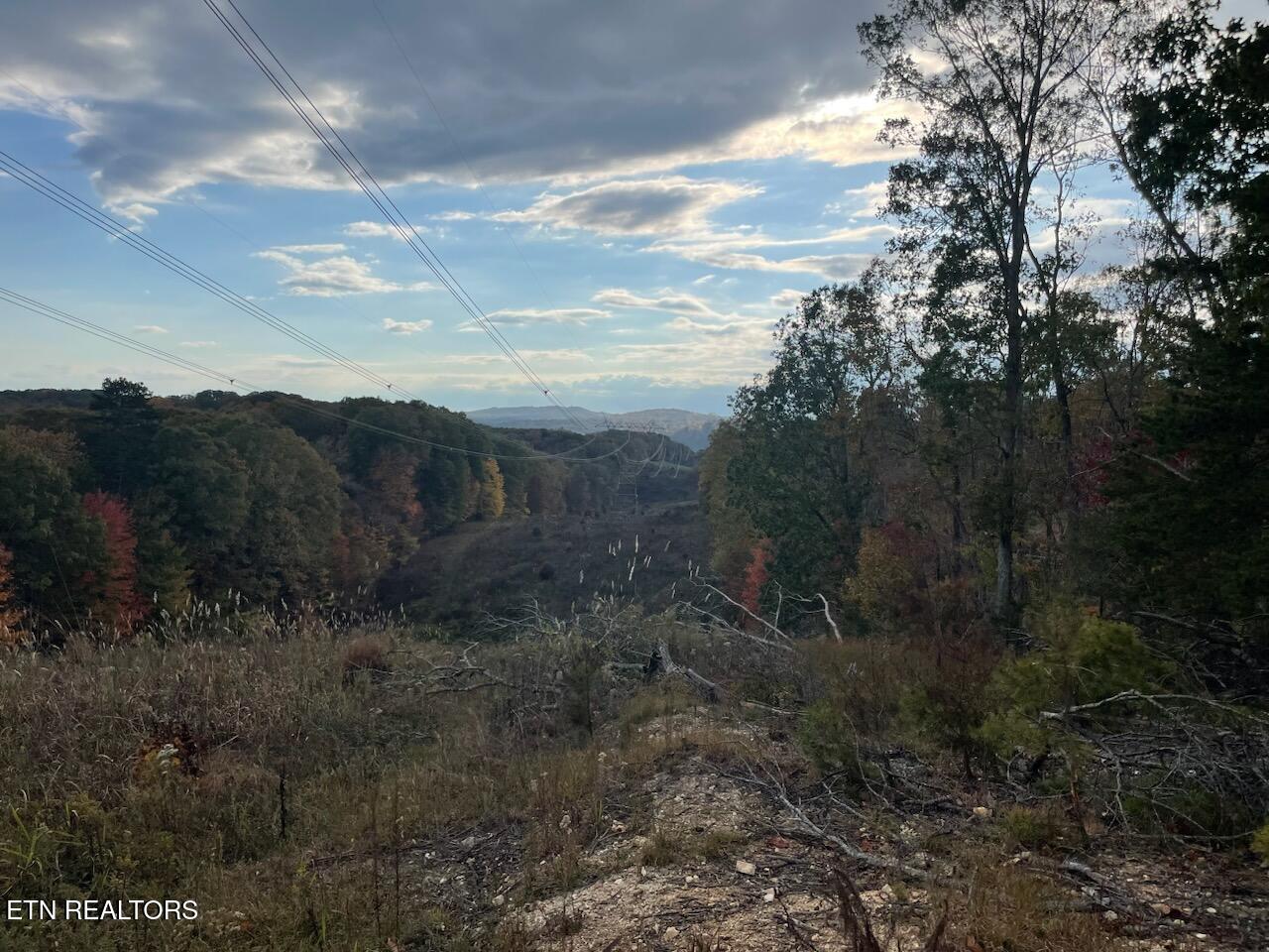 1707 Paint Rock Ferry Road Kingston, TN 37763 - Photo 11 of 29 1000005612