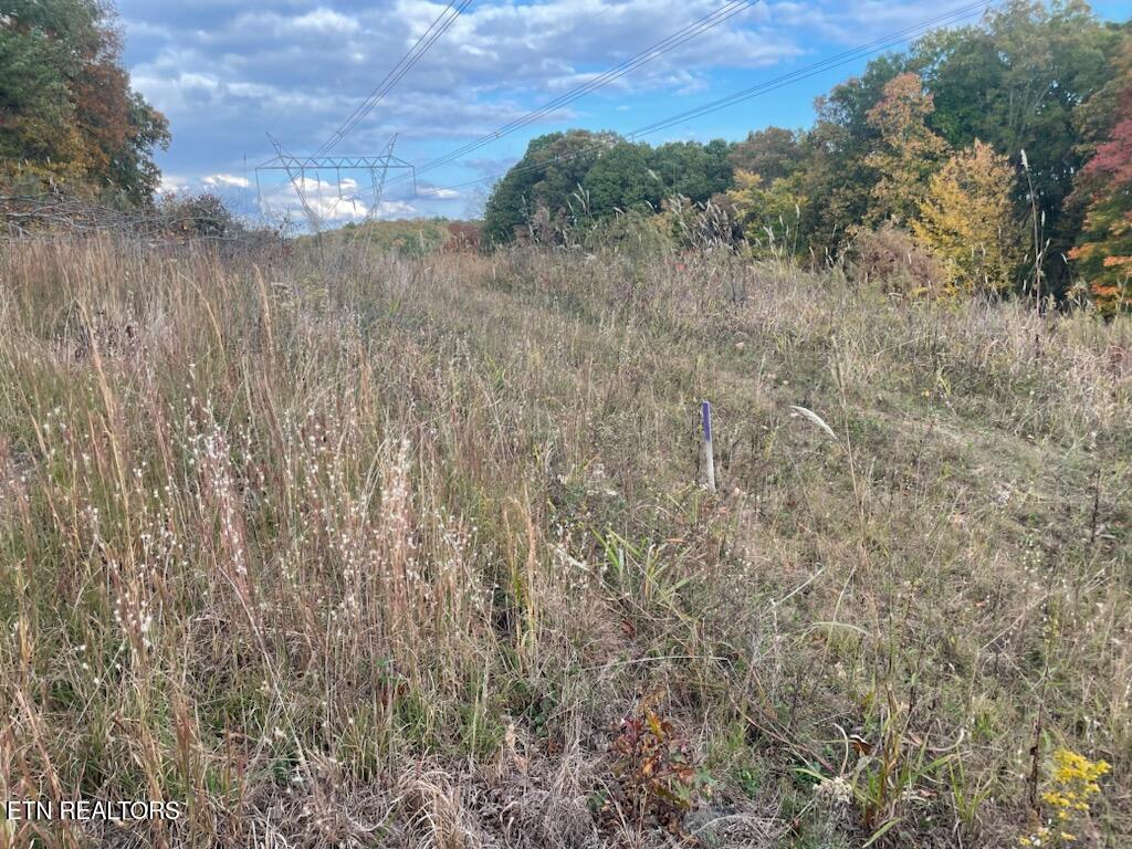 1707 Paint Rock Ferry Road Kingston, TN 37763 - Photo 12 of 29 1000005611