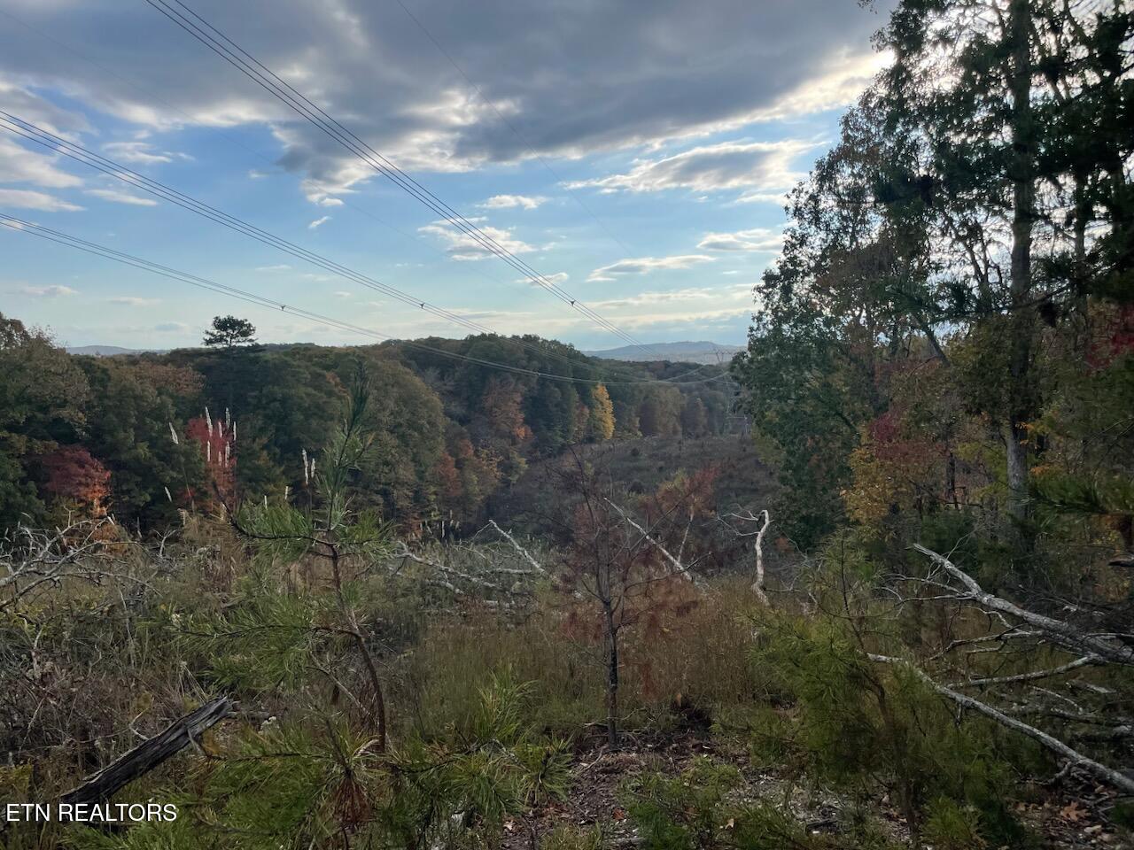 1707 Paint Rock Ferry Road Kingston, TN 37763 - Photo 13 of 29 1000005610